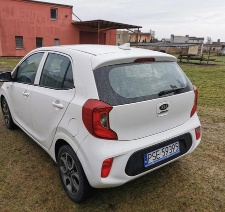 Kia Picanto cena 36900 przebieg: 85358, rok produkcji 2019 z Żerków małe 67